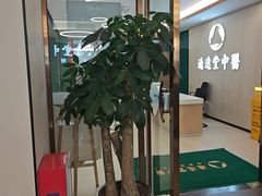 -通透堂中医·精准推拿(旗舰店)