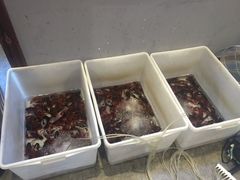 -食潮汕头鲜牛馆(望京保利店)
