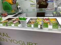 -Salud撒露欧洲冻酸奶(蓝色港湾店)