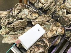 -蚝专家(北滘店)