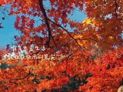-庐山风景名胜区