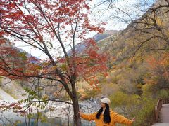 -叠溪松坪沟景区