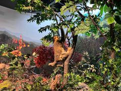 -陕西自然博物馆