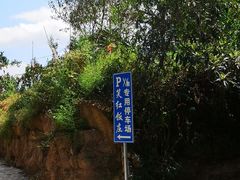 -笑红饭庄