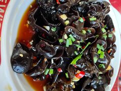 -生态苑农庄(十里画廊遇龙河店)