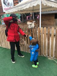 -萌宠亲子动物乐园(槐房万达店)