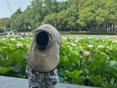 -蠡湖大桥公园