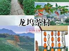 -龙坞茶村