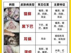 -安安宠医·臻爱宠物医院·宠保定点(营门口路分院)