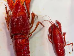 -文和友老长沙龙虾馆(化龙池店)