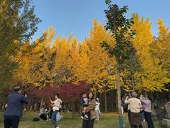 -洛阳市隋唐城遗址植物园