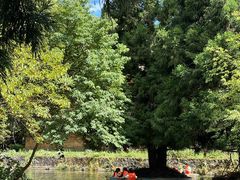 -武陵山森林公园