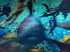 -芜湖方特东方神画