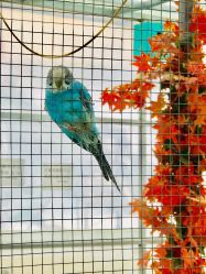 -萌宠亲子动物乐园(槐房万达店)