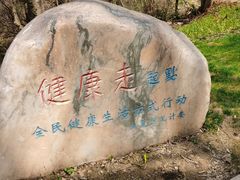 -青龙山国家森林公园