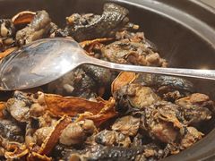 姜爆乌鸡-鸿鑫海鲜楼(建联店)
