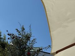 -尽善百年古院餐厅(王家老宅店)