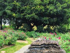 -人民公园(罗湖区)