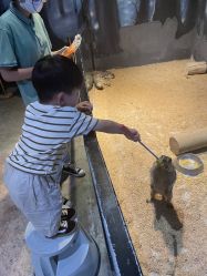 -酷嗒动物文化乐园(cutezoo西溪乐天城店)