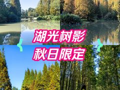 -桤木河湿地公园