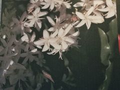 -星巴克臻选(宁波世纪东方广场店)