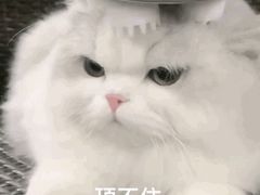 -热辣宗师·串串火锅(万达金街店)