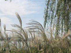 -江阴敔山湖公园