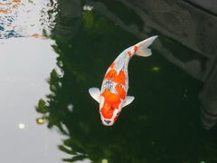 -西安市广仁寺
