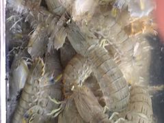 -宾朋海鲜特色美食餐厅·纯手工鲅鱼水饺(兴海路店)