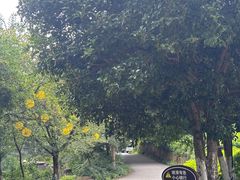-白马涧龙池景区