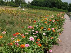 -田园东方蜜桃村的田野营地