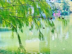-深圳东部华侨城茵特拉根酒店