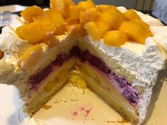 -维尔纳斯·生日蛋糕·动物奶油冰淇淋蛋糕(六里桥店)