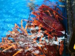-万宝海鲜舫(劳动公园店)