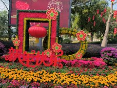 -大屏嶂森林公园