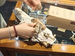 -郑州方特梦幻王国