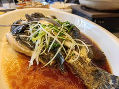 -国惠大酒楼(宝龙店)