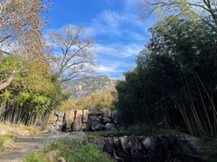 -鲁山国家森林公园