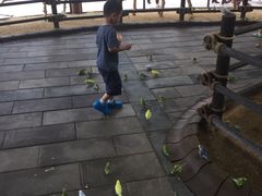 -哈尔滨波塞冬海底世界
