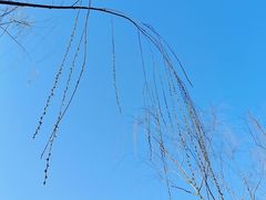 -湘湖逍遥庄园·水漾中餐厅