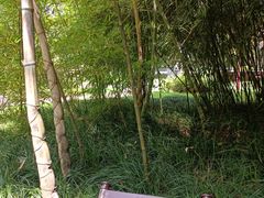-望江楼公园