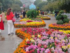 -南山植物园