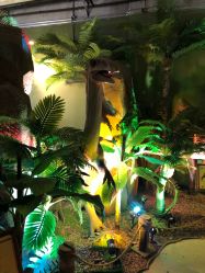 -恐龙探索乐园(磁器口店)