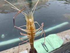 -DGE季风钓虾营地·团建·聚会