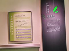-中国茶叶博物馆(双峰馆区)