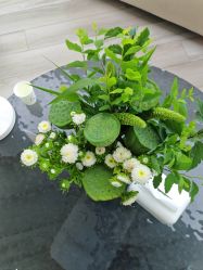 -HEYAN荷妍专业脱毛连锁机构