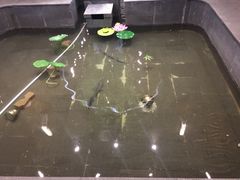 -吕宋海鲜楼