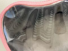 -艾吉宠物医院·疑难杂症转诊中心·猫友好(碧江路院)