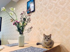 -G-Super 绿地优选(徐汇绿地缤纷城店)