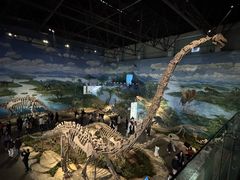 -自贡恐龙博物馆